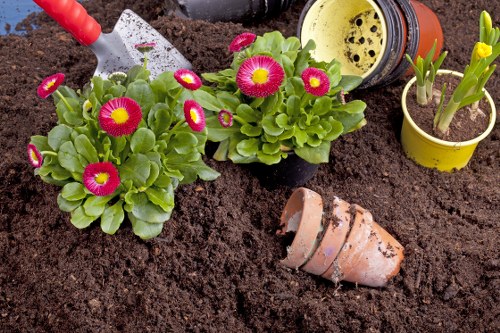 Illustration representing accessible garden services in Earlsfield