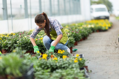 Gardening team preparing a domestic garden for service