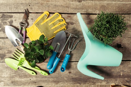 Healthy green lawn care in Earlsfield garden