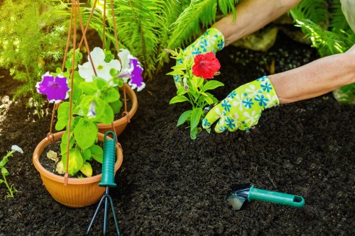 Seasonal garden care in Earlsfield with lawn and border upkeep