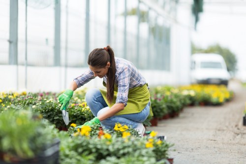 Supplier audit process for Earlsfield gardening services