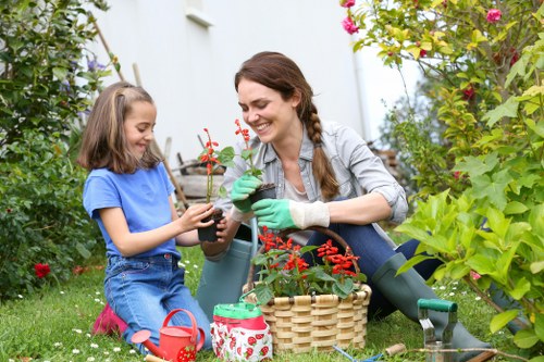 Regular garden maintenance in Earlsfield for a neat outdoor space