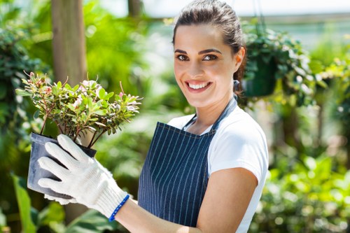 Mowing and trimming grass for Earlsfield lawn care