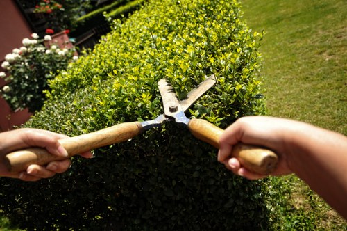 Midway review of a gardener complaints process