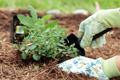 Visual for WCAG 2.1 AA compliant gardening website content
