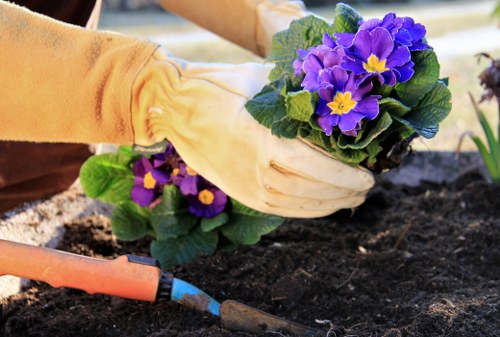 Gardeners in Earlsfield restoring structure and seasonal planting