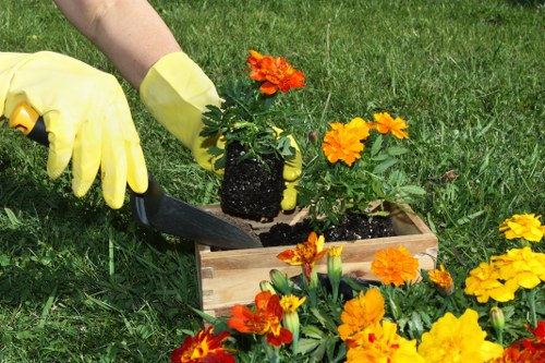 Garden waste removal and tidy-up in Earlsfield