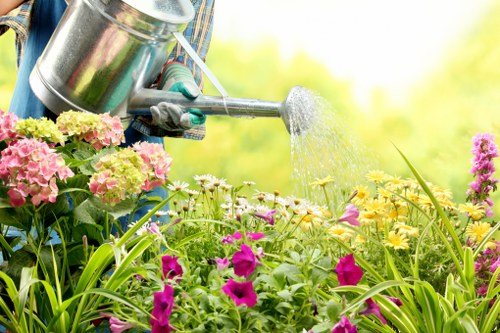 Tree removal and stump grinding service for Earlsfield property