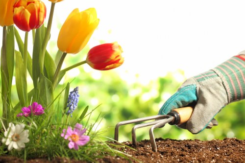 Gardeners Earlsfield providing careful seasonal garden maintenance