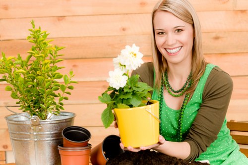 Earlsfield garden maintenance with tidy lawns and shrubs