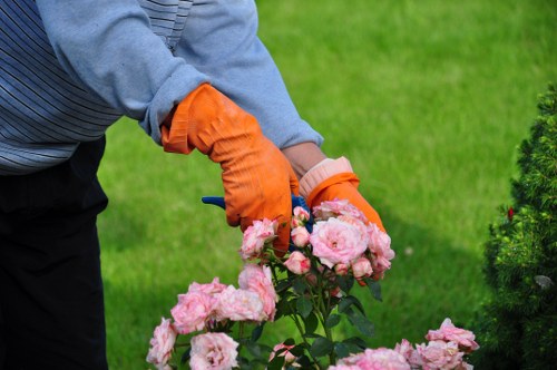 Licensed removal of garden waste from a maintained property