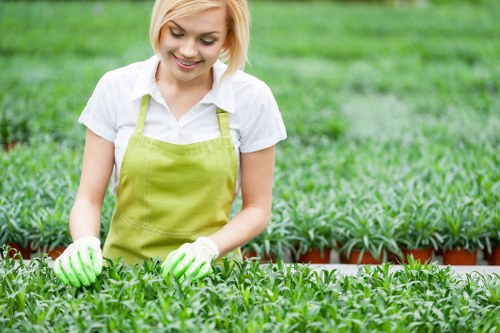 Professional garden maintenance in Earlsfield for healthy planting