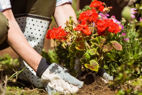 Essential cookie functions for an Earlsfield gardening website