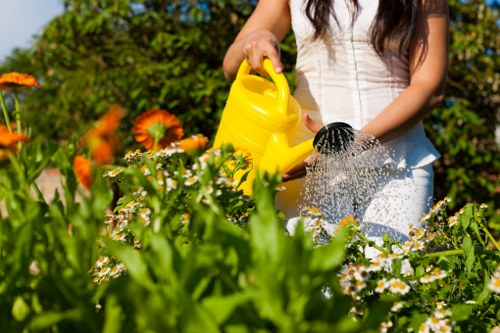 Professional gardeners discussing a booked service in a residential garden