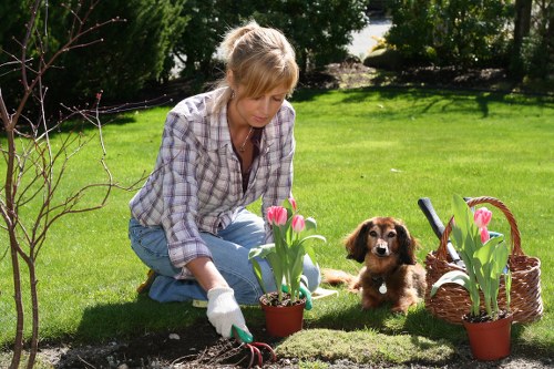 Marketing cookies and site optimisation for Gardeners Earlsfield