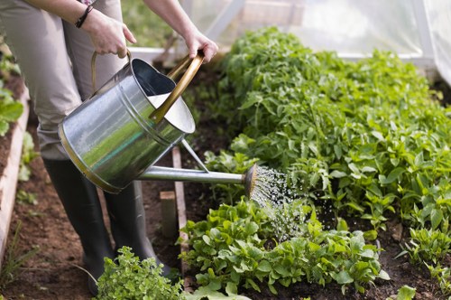 Tailored gardening services for a small Earlsfield courtyard garden