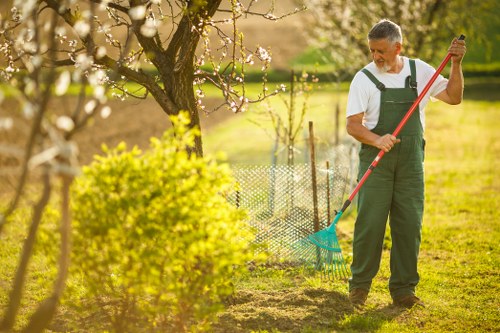 Examples of common garden clearance jobs in Earlsfield