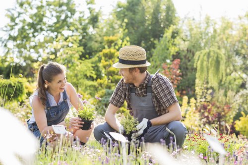 Final commitment to ethical working practices in Earlsfield gardening
