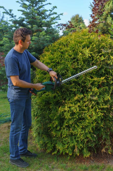 Earlsfield gardeners same day lawn and hedge service SW18