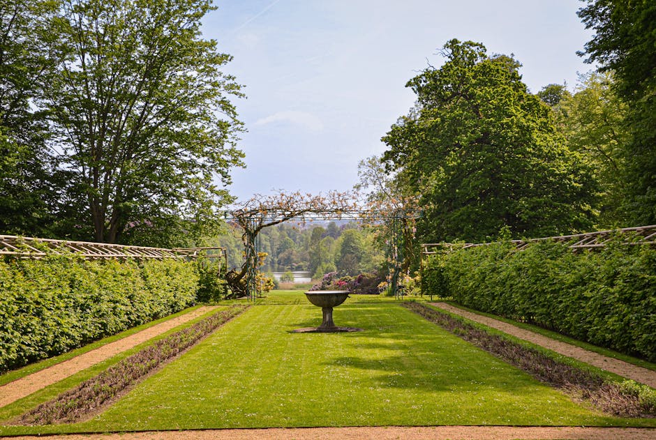 A male gardener wearing a blue t-shirt and jeans trims a dense, rounded evergreen shrub with pruning shears attached to a long extendable pole, demonstrating hedge trimming work in a well-maintained g