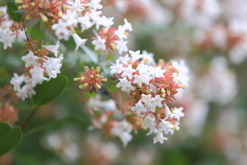 property outdoor space